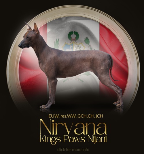 nirvana.png